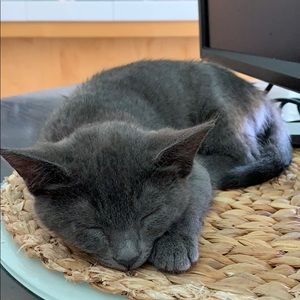 Meet your Posher, Jackie